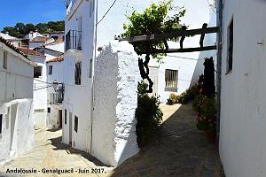 351- Genalguacil
